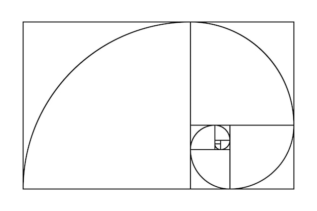 Plik wektorowy spirala ze złotym współczynnikiem geometryczny idealna proporcja szablon boskich sekcji na białym tle matematyka symetria kształtuje geometrię siatki ilustracji wektorowych