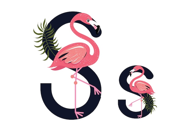 Ss Flamingos