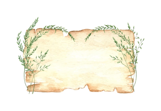 Stara kartka papieru z dzikimi łodygami owsa z pustą przestrzenią dla tekstu Ilustracja akwarelowa z izolowanym tłem Kartka papierowa z dzikiemi kwiatami szablon dla vintage lub rustic zaproszenia kart powitalnych