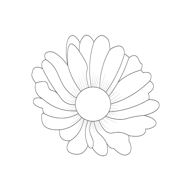 Plik wektorowy stokrotka kwiat zarys isoland ręcznie rysowane ołówkiem linia sztuki ilustracji wektorowych