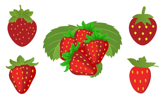 Plik wektorowy strawberry vector design and illustration bundle (zestaw projektowania i ilustracji wektorowych truskawek)