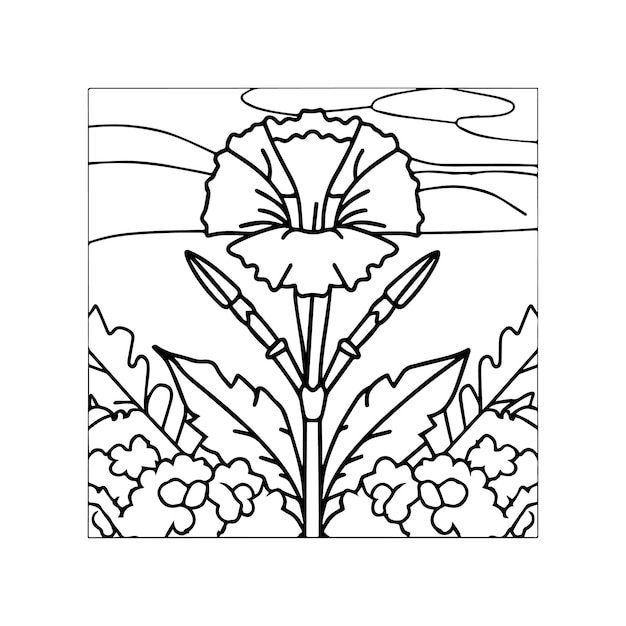 Plik wektorowy strony do malowania kwiatów goździków wektor konturów kwiatówgoździków
