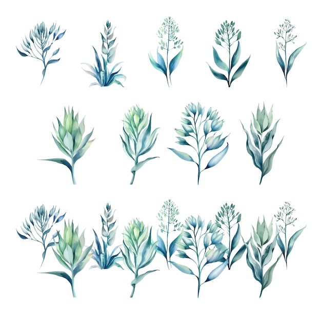 StulecieWatercolor zestaw zielonych liści i gałęzi izolowanych na białym tle Ręcznie narysowany
