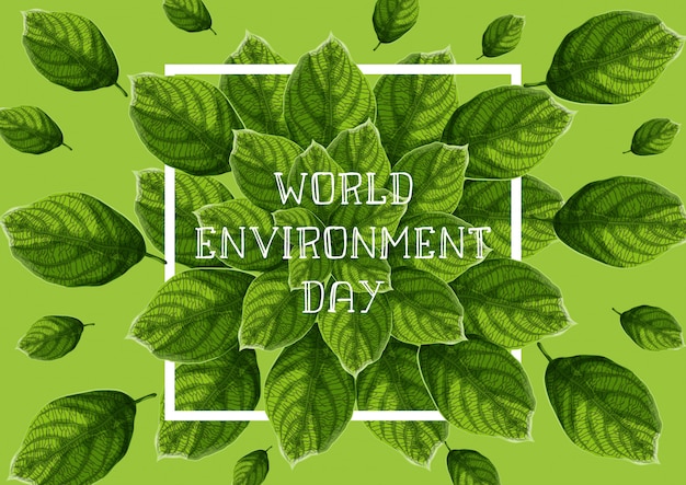 Światowy Dzień Ochrony środowiska Z Zielonymi Liśćmi Teksturowanej, Białą Ramką I Tekstem