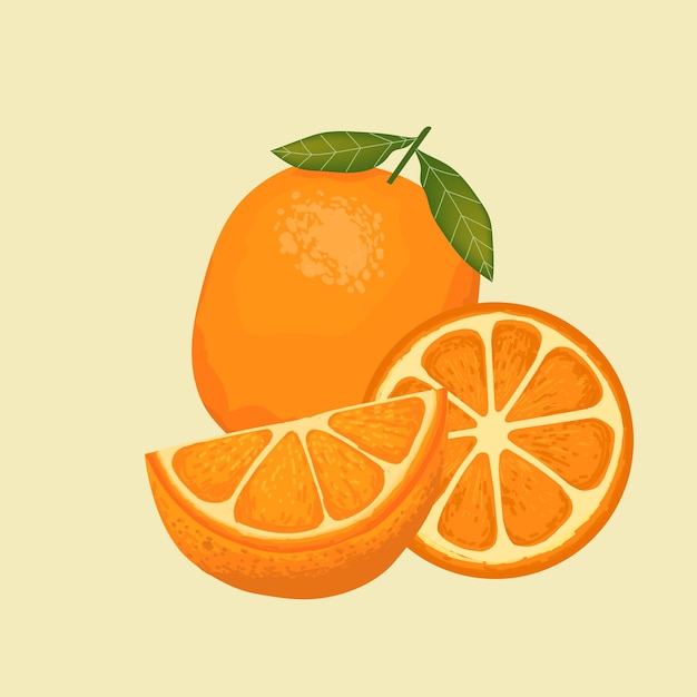 Świeża pomarańczowa cytryna mandaryna owoce wektorowe ilustracja tła