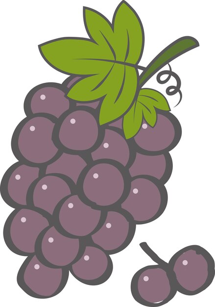 Świeże Owoce Fioletowe Winogrona Z Elementem Graficznym Liści