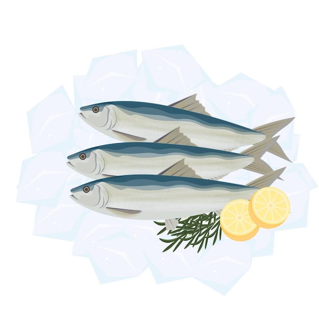 Plik wektorowy Świeże sardynki ryby ilustracja wektorowa logo na lodzie