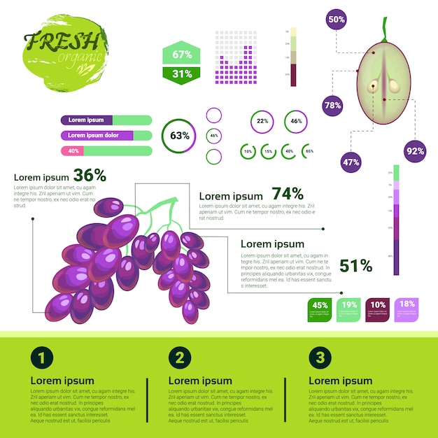 Świeżych Organicznych Infografiki Naturalne Owoce Wzrostu, Rolnictwa I Rolnictwa