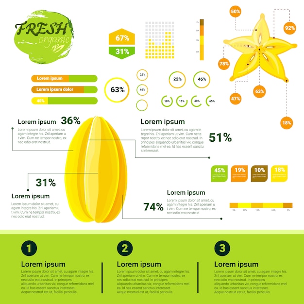 Świeżych Organicznych Infografiki Naturalne Owoce Wzrostu, Rolnictwa I Rolnictwa