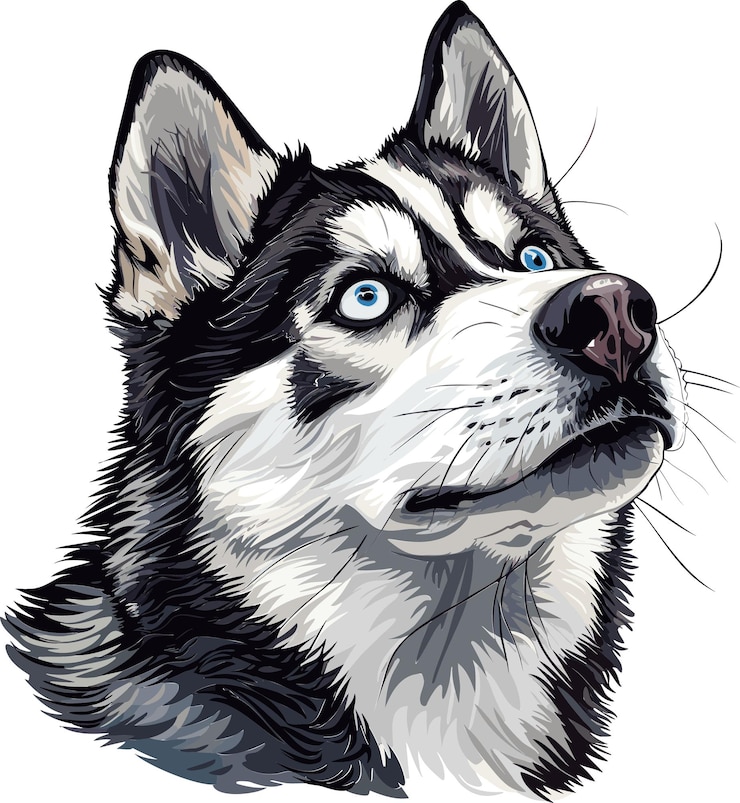 Wektor syberyjski husky pies urocza ilustracja wektorowa