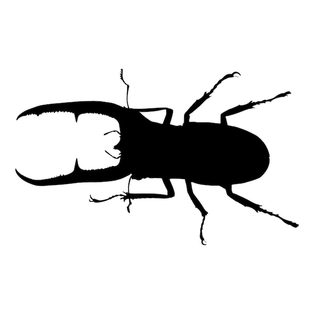 Sylwetka Ilustracji Wektorowych Horn Beetle