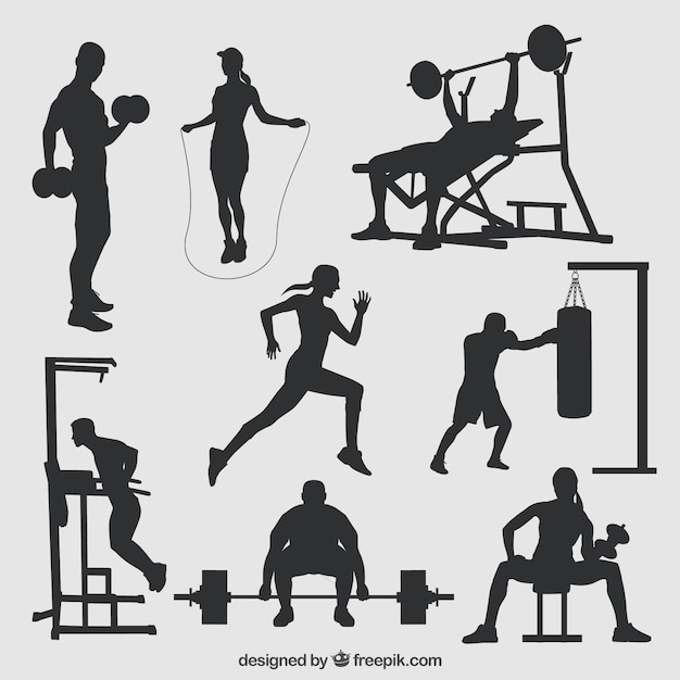 Sylwetki sportowe