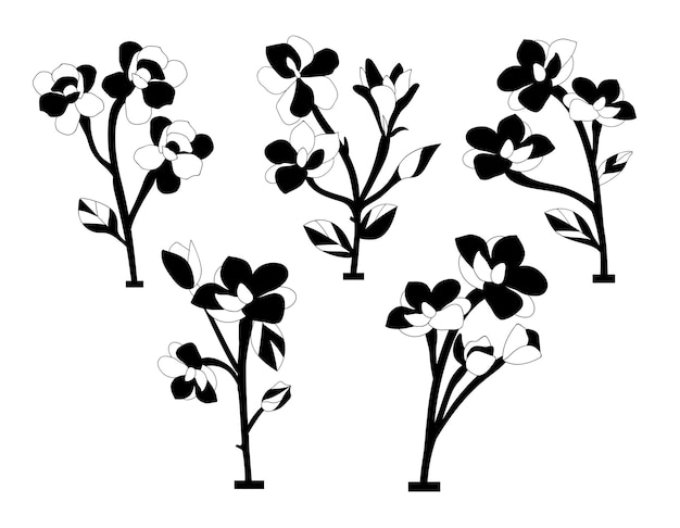 Sylwetki Wektor Kwiat Magnolii Na Białym Tle