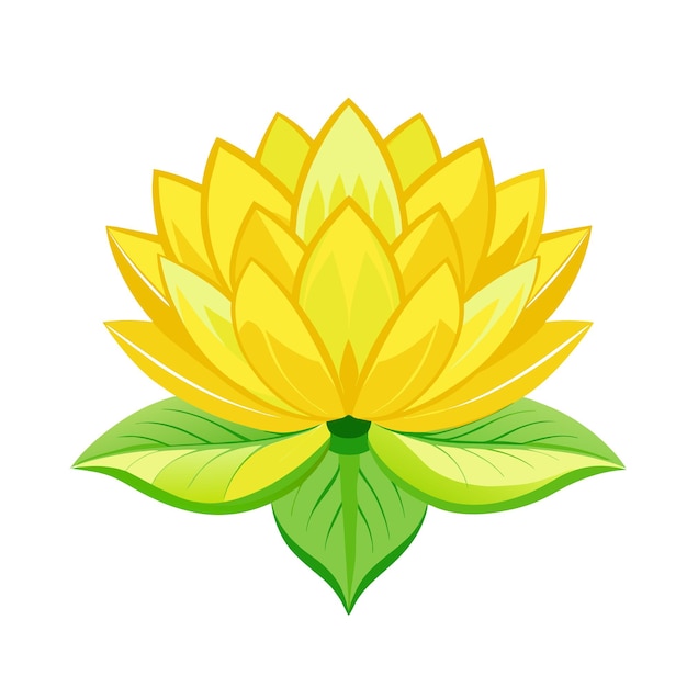 Symbol Kwiatów Lotosu żółty Lilij Wodny Na Białym