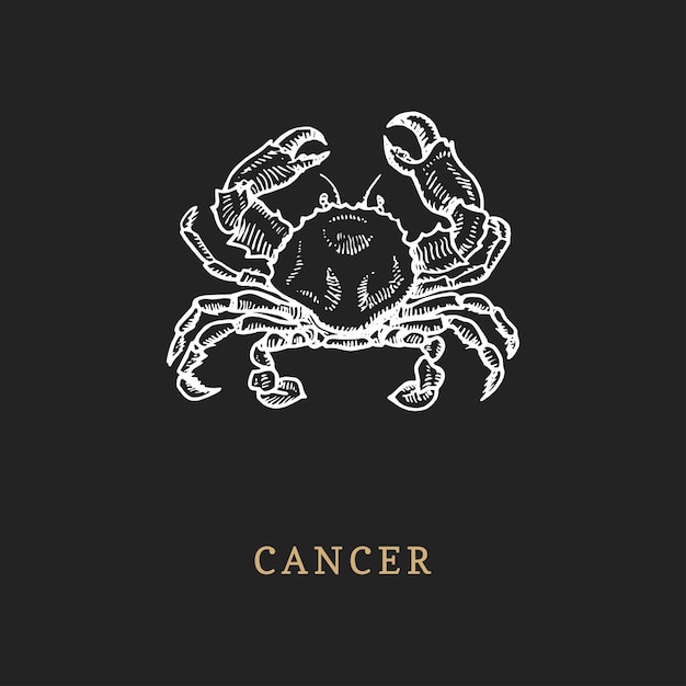 Symbol Zodiaku Rak Ręcznie Rysowane W Stylu Grawerowania Grafika Wektorowa Retro Ilustracja Znak Zodiaku Krab