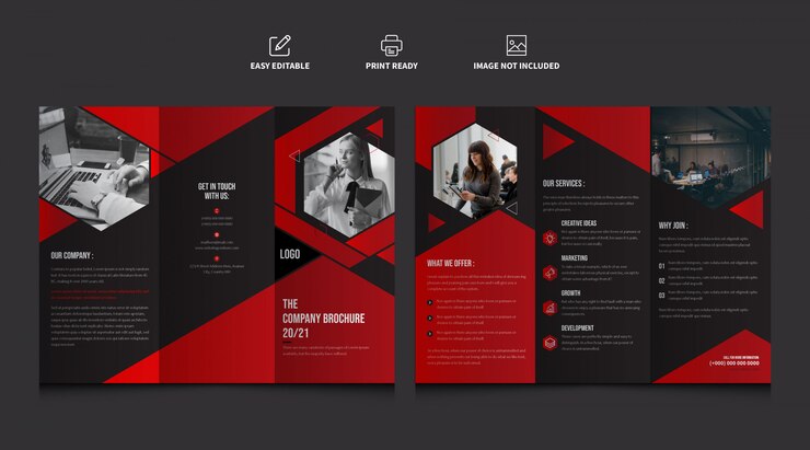 Wektor szablon broszura firmowa czerwony kolor firmy trifold