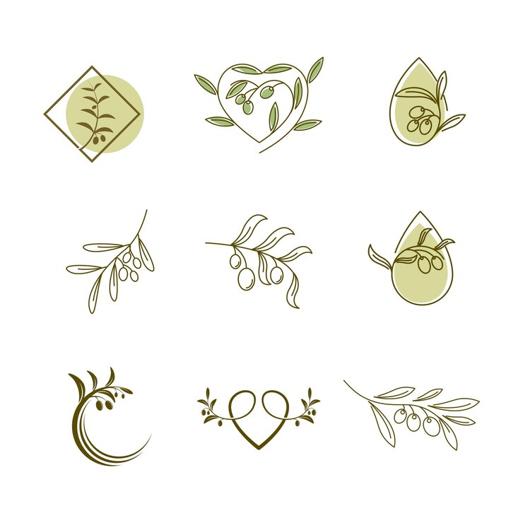 Szablon projektu ilustracji wektorowych z oliwek