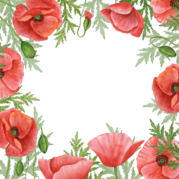 Plik wektorowy szablon projektu ramki kwiatowej ręcznie rysowane elementy akwarela kwiaty maku rama na karty tagi zaproszenie na ślub użyj