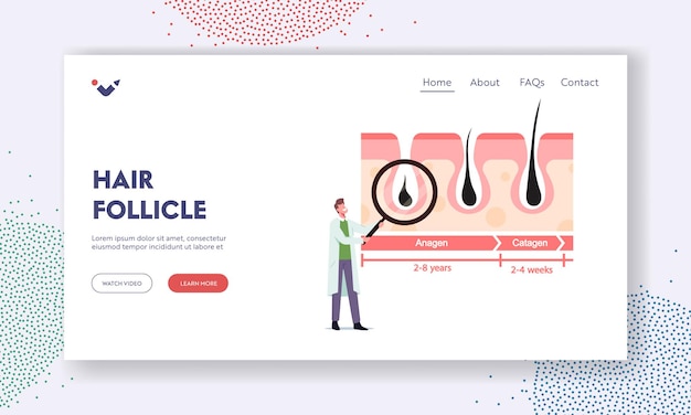 Plik wektorowy szablon strony docelowej mieszków włosowych. mały lekarz postać z ogromnym szkłem w infografiki przedstawiające cykle wzrostu i utraty włosów. anagen, katagen, telogen. ilustracja wektorowa kreskówka ludzie