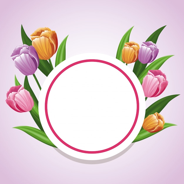 Plik wektorowy szablon tulipan kwiat ozdoba karty