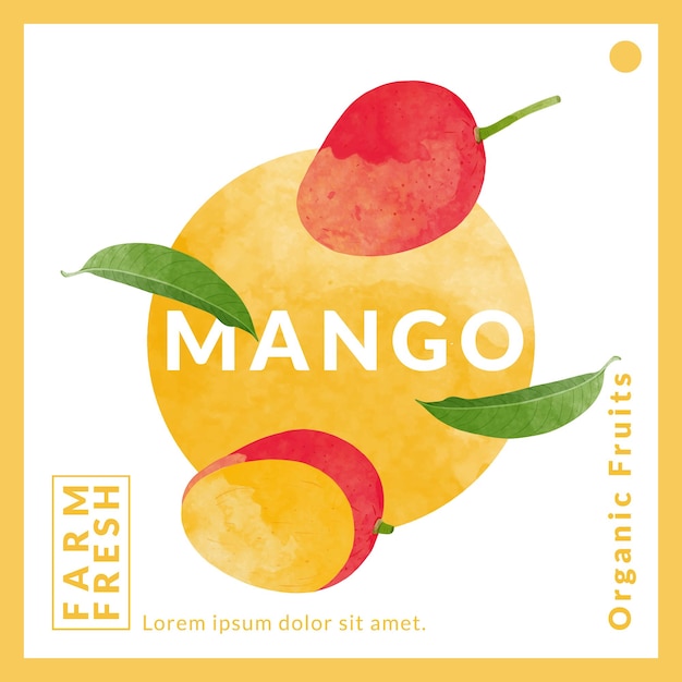 Plik wektorowy szablony projektowania opakowań mango ilustracja wektorowa w stylu akwarelu