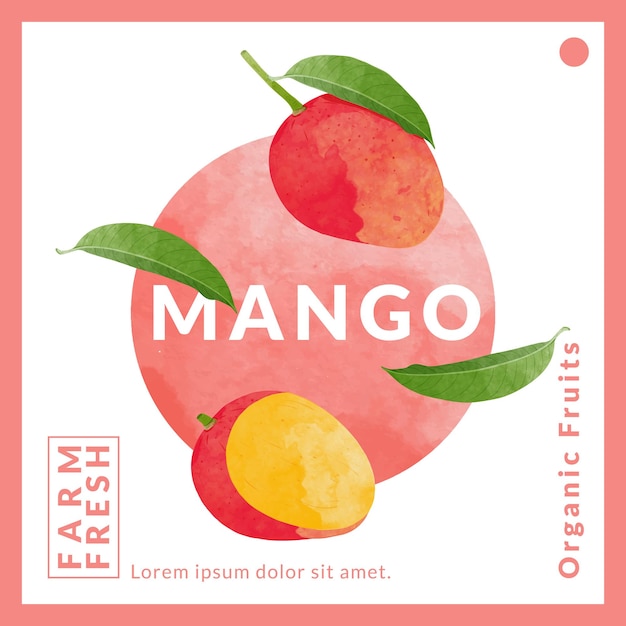 Szablony Projektowania Opakowań Mango Ilustracja Wektorowa W Stylu Akwarelu