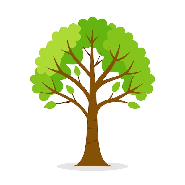 Szare brzozy Betula populifolia drzewo Natura płaska ilustracja wektorowa na białym tle
