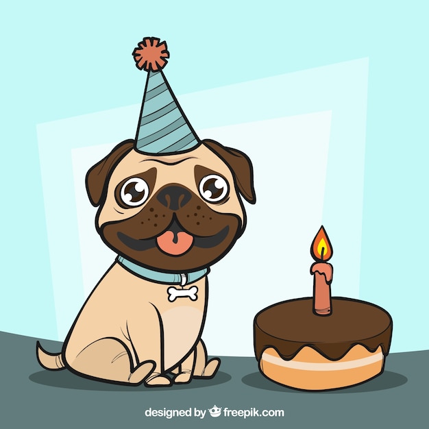 Szczęśliwy pug na urodziny