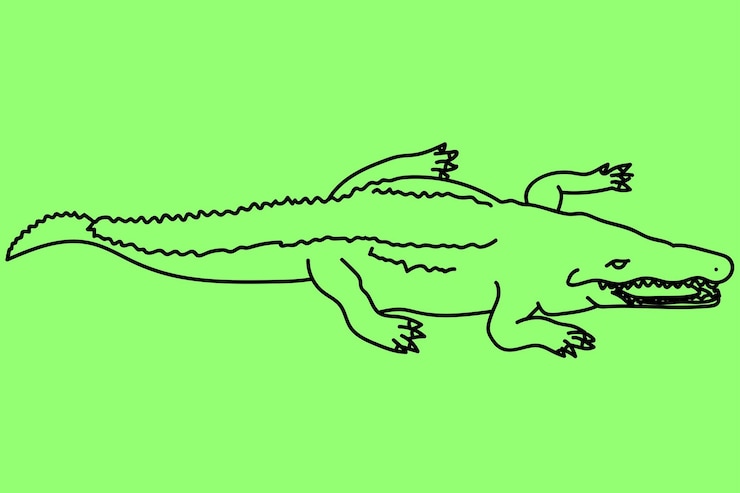 Wektor szkic grafik krokodyla