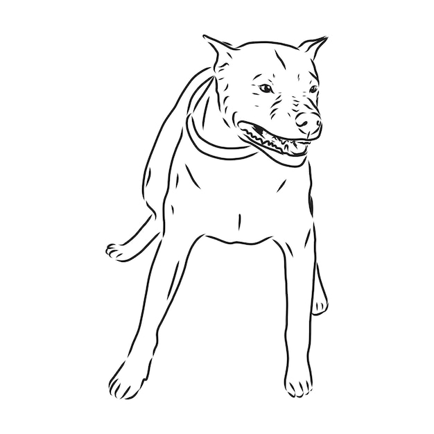 Plik wektorowy szkic ilustracji wektorowych psa pit bull terrier