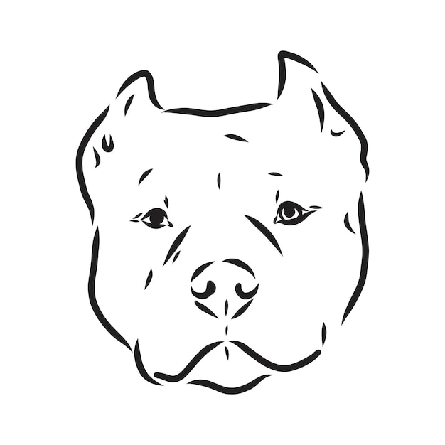 Szkic Ilustracji Wektorowych Psa Pit Bull Terrier