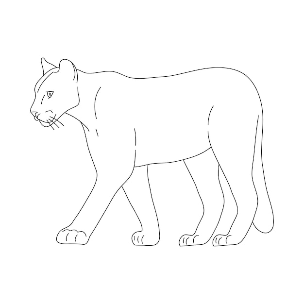 Szkic Puma ręcznie rysowane ilustracji wektorowych