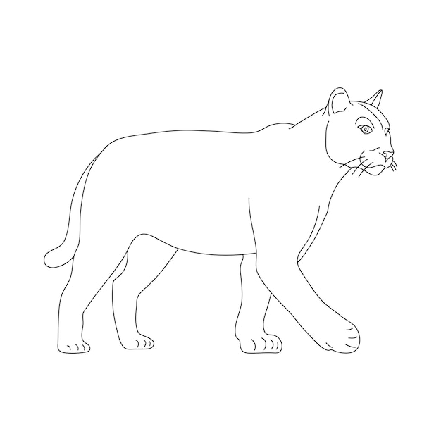 Szkic Pumy rysowane ręcznie Wektor ręcznie rysowane ilustracji
