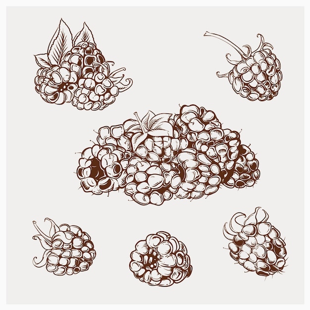szkic_raspberry1
