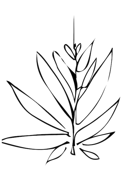 Plik wektorowy szkic wektor gałązki roślin i liści