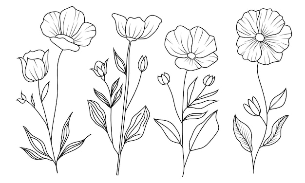 Szkice Kwiatowe Roślinność Polna Liście I Rośliny Kwitnące Abstrakcyjny Projekt