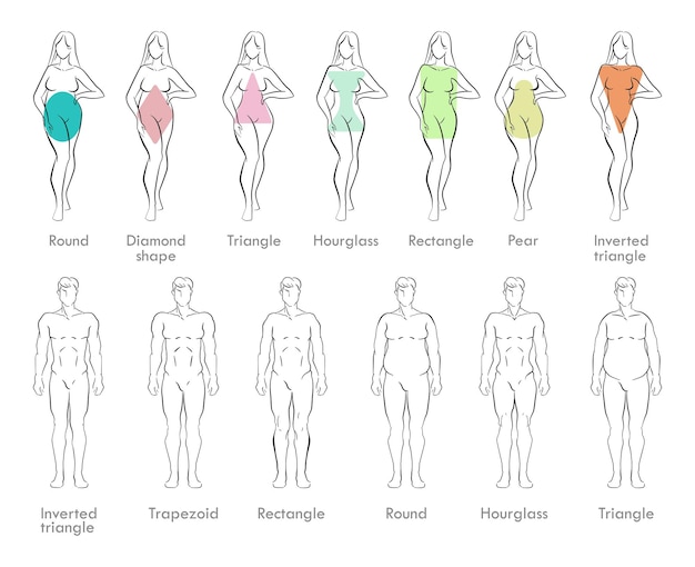 Plik wektorowy szkice męskich i żeńskich typów ciała