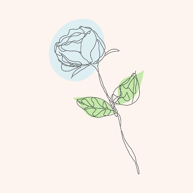Plik wektorowy szkice, ręcznie rysowane róża, grafika liniowa. ilustracja wektorowa atrament, ołówek, liście i kwiaty