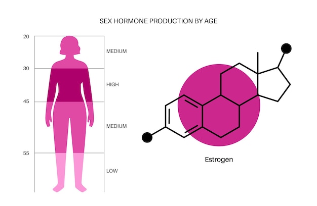 Plik wektorowy tabela kolorów poziomu estrogenu. produkcja hormonów płciowych według wieku, na białym tle płaski wektor infografikę. schemat przedstawiający niski i wysoki poziom hormonów w ciele kobiety. dorosła kobieta sylwetka ilustracja medyczny.