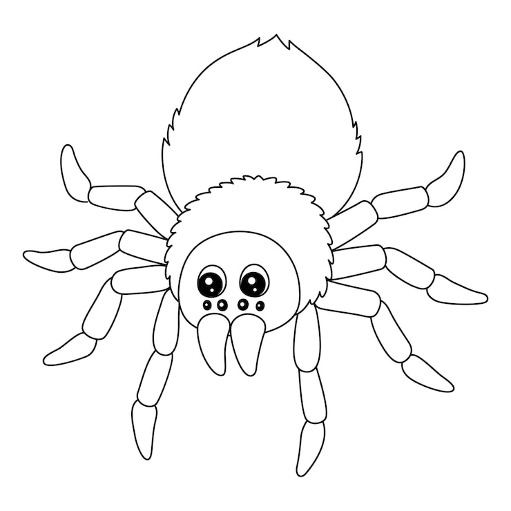 Wektor tarantula animal coloring page na białym tle dla dzieci