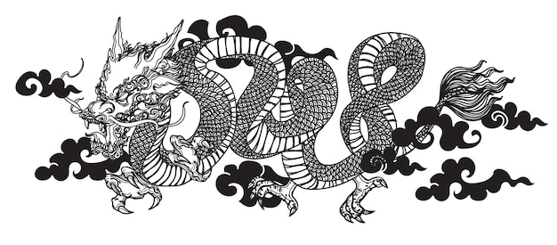 Tatuaż Sztuki Dargon Mucha Rysunek Szkic Czarno-biały