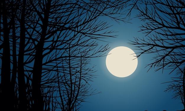 Tło Nocnego Nieba Z Jasnym Księżycem W Pełni I Sylwetką Drzewa
