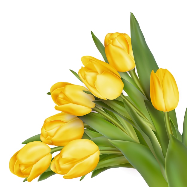 Tło wakacje z bukietem żółtych tulipanów.