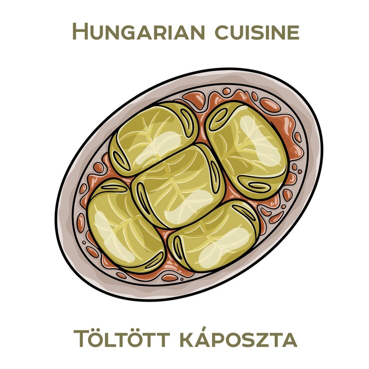Wektor toltottosz kapta to węgierskie danie z wypełnionymi rolkami z kapustą wypełnionymi mięsem i ryżem