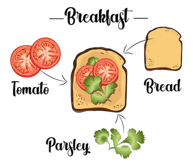 Plik wektorowy tost z pomidorami i pietruszką składniki przepisu na tosty