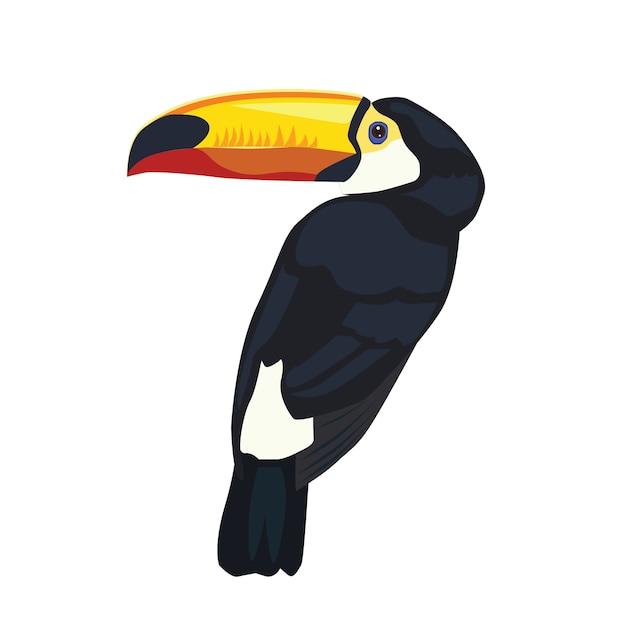 Plik wektorowy toucan tropical bird