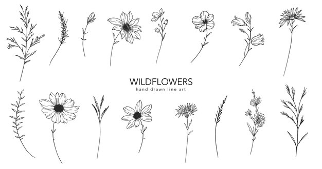 Trendy kwiatowe dzikie kwiaty i liście ilustracja sztuki liniowej Botaniczna sztuka liniowa Kolekcja dzikich kwiatów Ręcznie narysowane grafiki sztuki linowej Luksusowa sztuka kwiatowa doskonała do eleganckiego zaproszenia na ślub