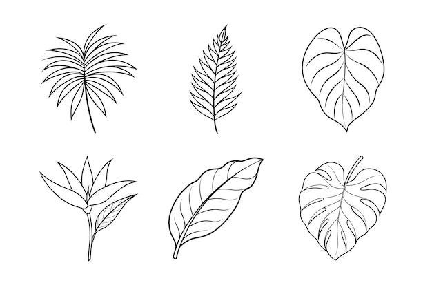 Tropical Foliage Line Art Bundle Monstera Palm Banana i Filodendron Leaf Ilustracje