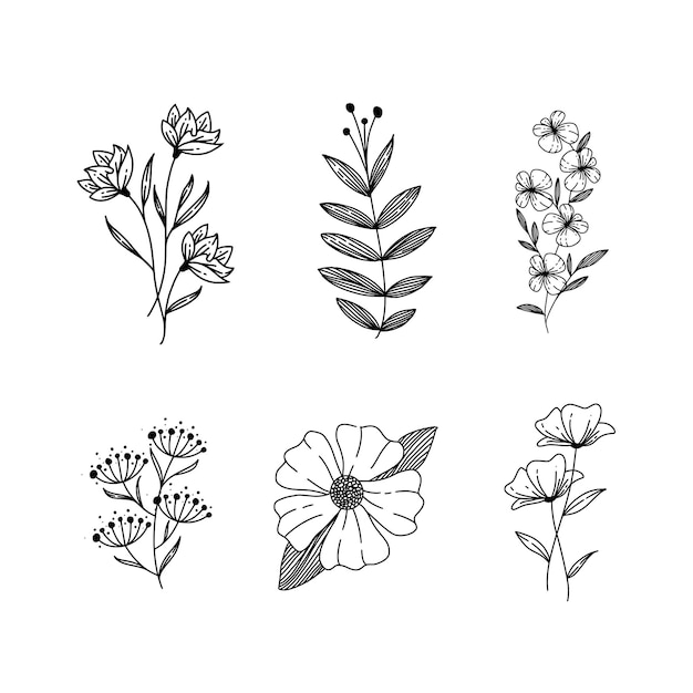 Tropikalna ilustracja kwiatowy