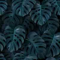 Plik wektorowy tropikalna ilustracja wektorowa z zielonych liści monstera na ciemnym tle